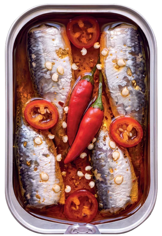 Geöffnete Dose pekta mare Sardinen Scharf